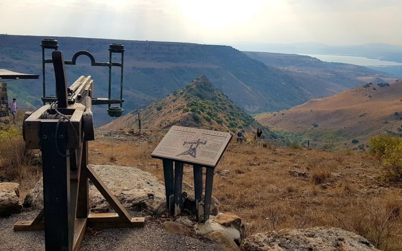 שמורת הטבע גמלא