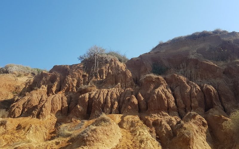 גן לאומי חוף השרון