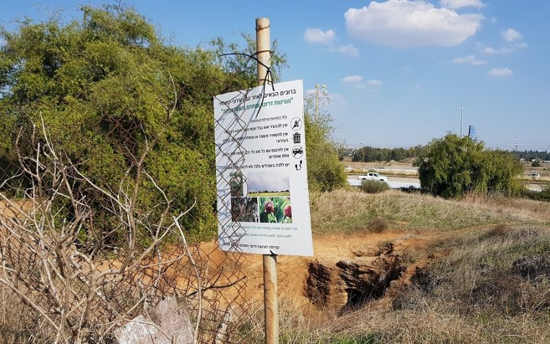 מערות אפקה - טיול פריחה לצד מערכות קבורה עתיקות
