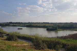 מצפור ויקר ואגמון חפר