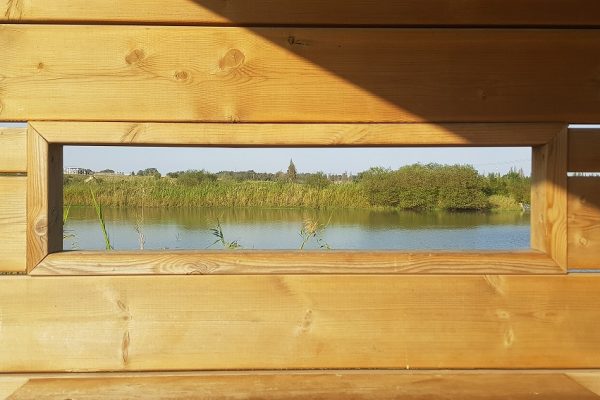 מצפור ויקר ואגמון חפר