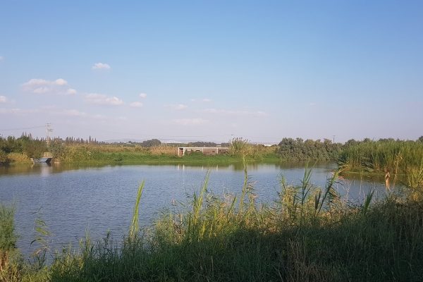 מצפור ויקר ואגמון חפר