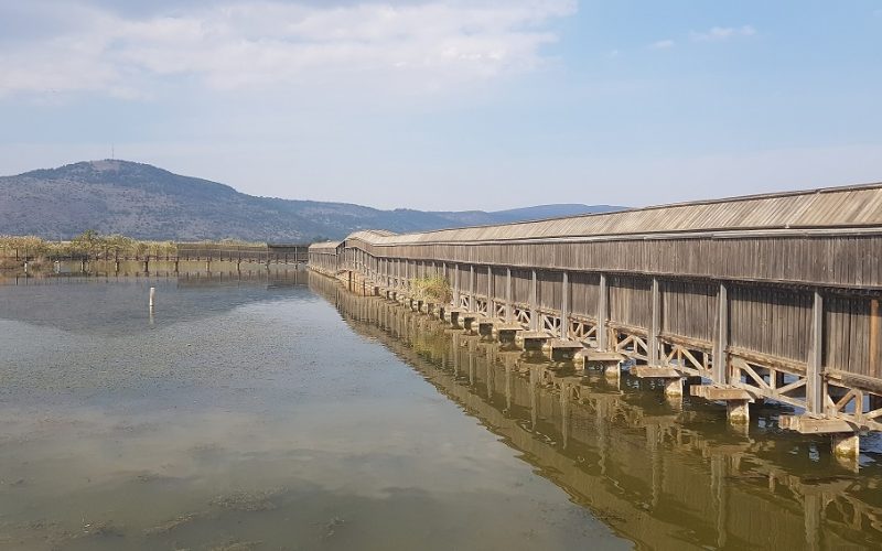 שמורת הטבע החולה של רשות הטבע והגנים
