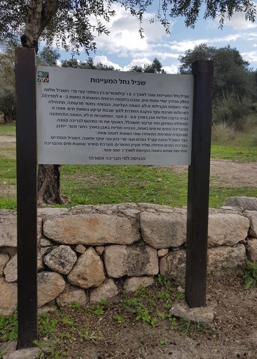 פארק איילון קנדה – מסלולי טיול ונקודות פיקניק