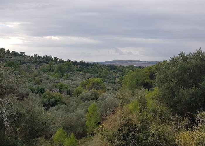פארק איילון קנדה – מסלולי טיול ונקודות פיקניק