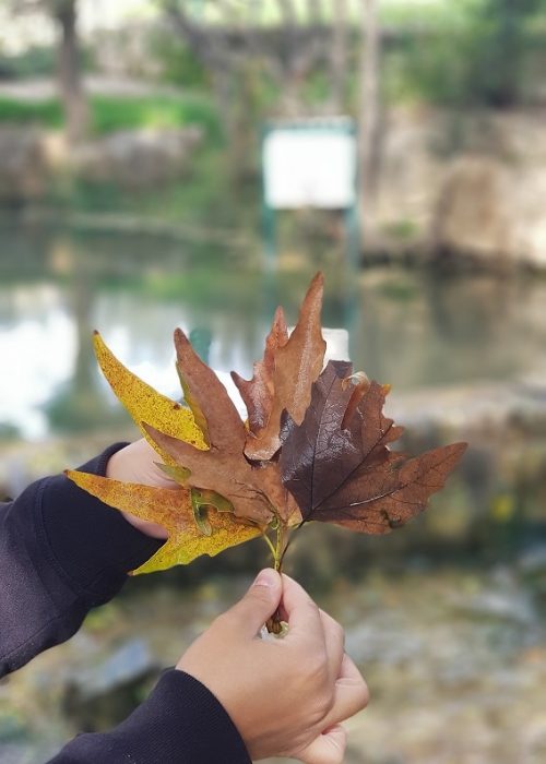 גן לאומי עין חמד