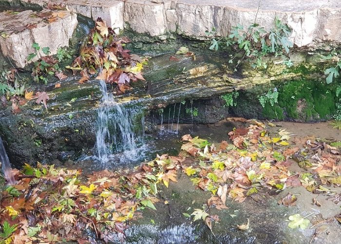 גן לאומי עין חמד