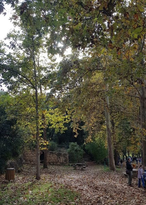 גן לאומי עין חמד