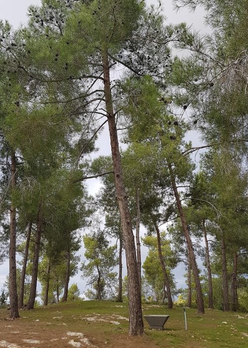 גן לאומי הר הרוח ודרך נוף נחל יתלה