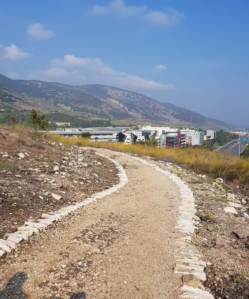 תל יקנעם – טיול חוויתי בפארק ארכיאולוגי עם תצפיות נוף
