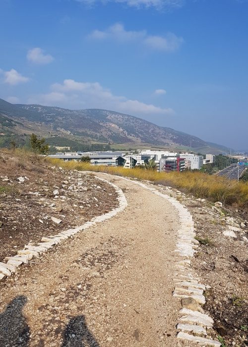 תל יקנעם – טיול חוויתי בפארק ארכיאולוגי עם תצפיות נוף