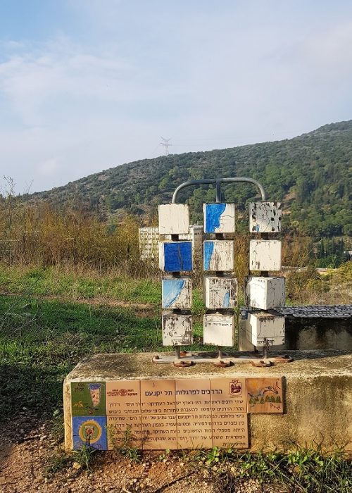 תל יקנעם – טיול חוויתי בפארק ארכיאולוגי עם תצפיות נוף