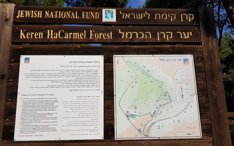 יער קרן הכרמל – שביל המערות וחורבת חרמש