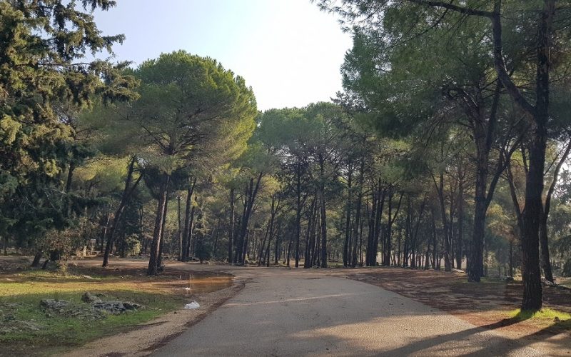 יער קרן הכרמל – שביל המערות וחורבת חרמש