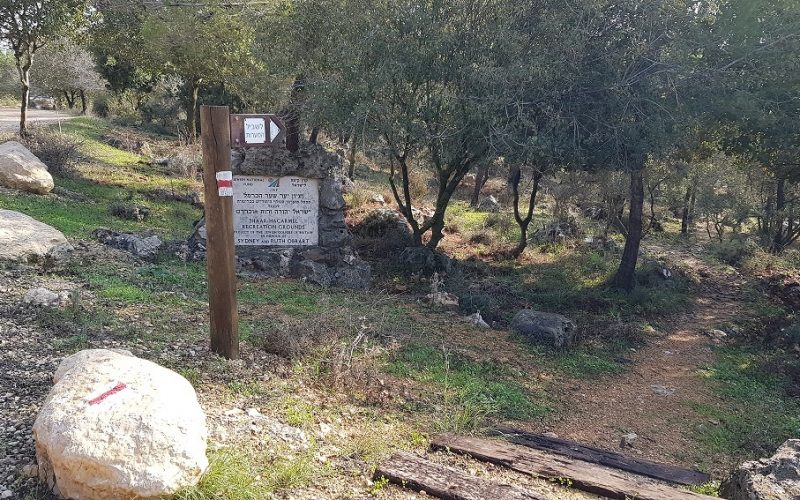 יער קרן הכרמל – שביל המערות וחורבת חרמש
