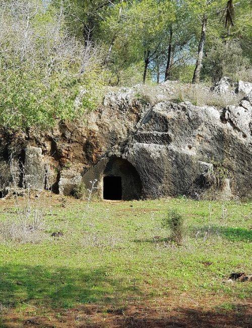 יער קרן הכרמל – שביל המערות וחורבת חרמש