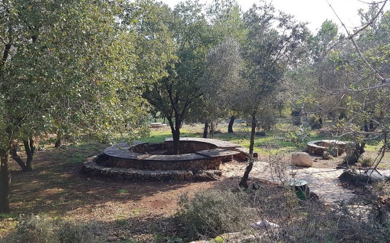 יער קרן הכרמל – שביל המערות וחורבת חרמש