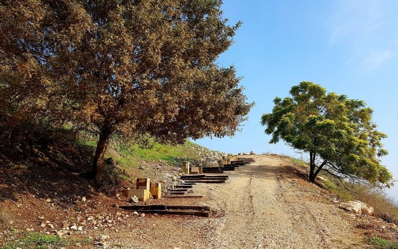 תל יקנעם – טיול חוויתי בפארק ארכיאולוגי עם תצפיות נוף