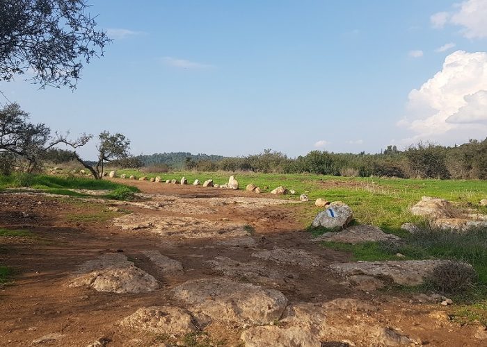 חרבת מדרס פארק עדולם צרפת