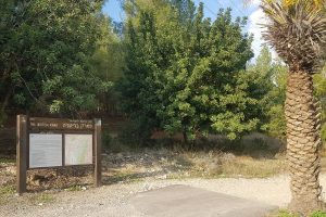 שביל הבארות והבורות – פארק בריטניה