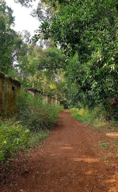 עין ג'ונס עתיקות חמת גדר