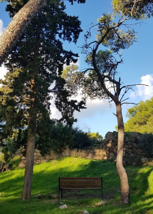 מבצר ראש מיה – נקודת תצפית בלב העיר חיפה