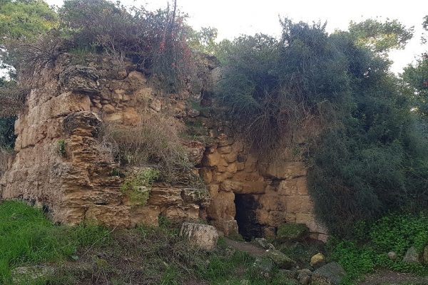 מבצר ראש מיה – נקודת תצפית בלב העיר חיפה