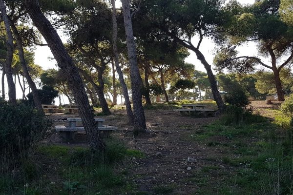 מסלול בחורשת הארבעים ומצוקי הארבעים – פארק הכרמל