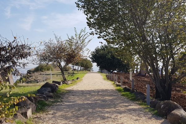 גן לאומי כוכב ירדן