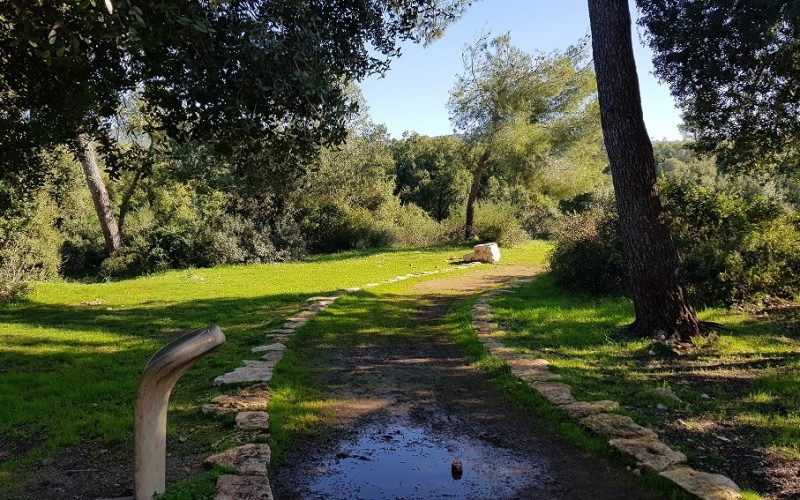 מסלול לחורבת רקית ותצפית הר שוקף – גן לאומי פארק הכרמל