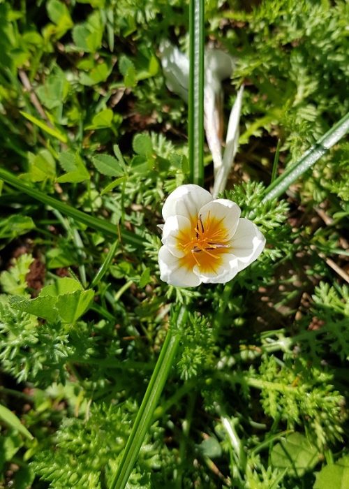 מסלול לחורבת רקית ותצפית הר שוקף – גן לאומי פארק הכרמל