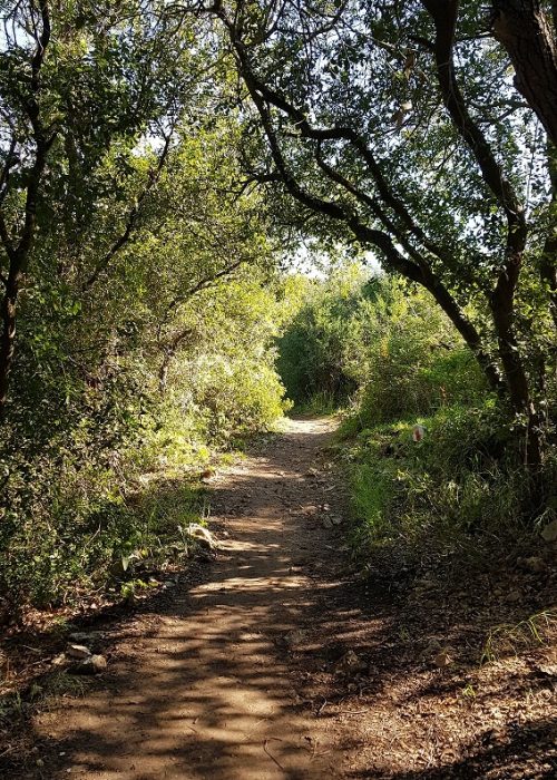 מסלול לחורבת רקית ותצפית הר שוקף – גן לאומי פארק הכרמל