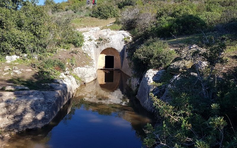 מסלול לחורבת רקית ותצפית הר שוקף – גן לאומי פארק הכרמל