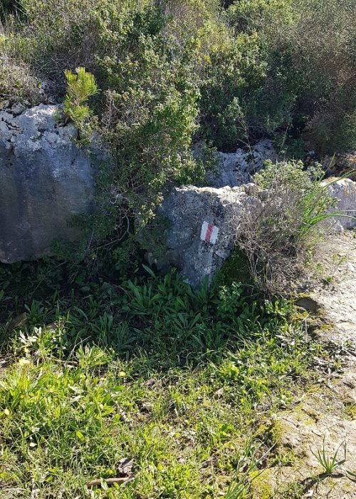 מסלול לחורבת רקית ותצפית הר שוקף – גן לאומי פארק הכרמל