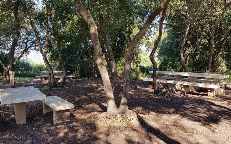 מסלול לחורבת רקית ותצפית הר שוקף – גן לאומי פארק הכרמל