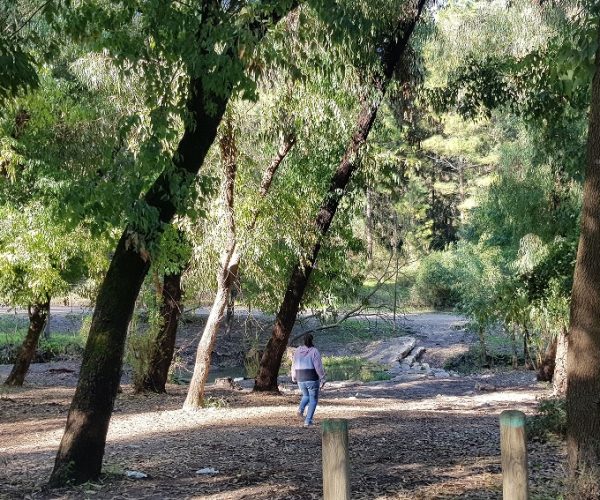 מסלול נחל גחר עליון בפארק רמת מנשה