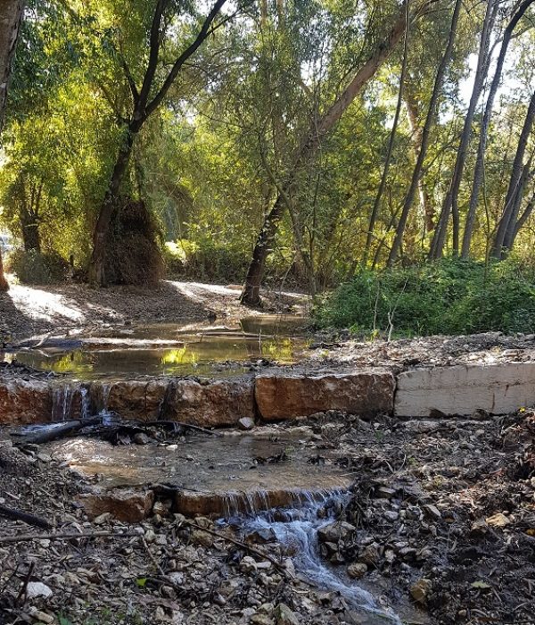 מסלול נחל גחר עליון בפארק רמת מנשה