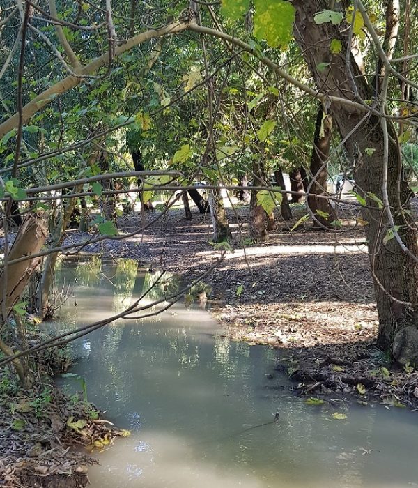 מסלול נחל גחר עליון בפארק רמת מנשה
