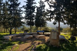 דרך נוף יערות ציפורי – דרך נוף יער קרית אתא