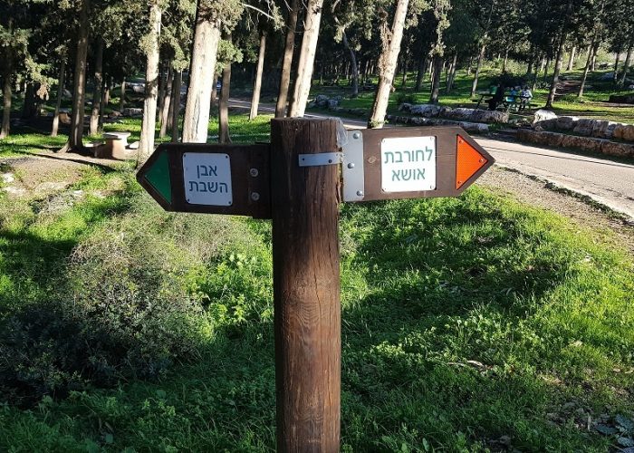 דרך נוף יערות ציפורי – דרך נוף יער קרית אתא