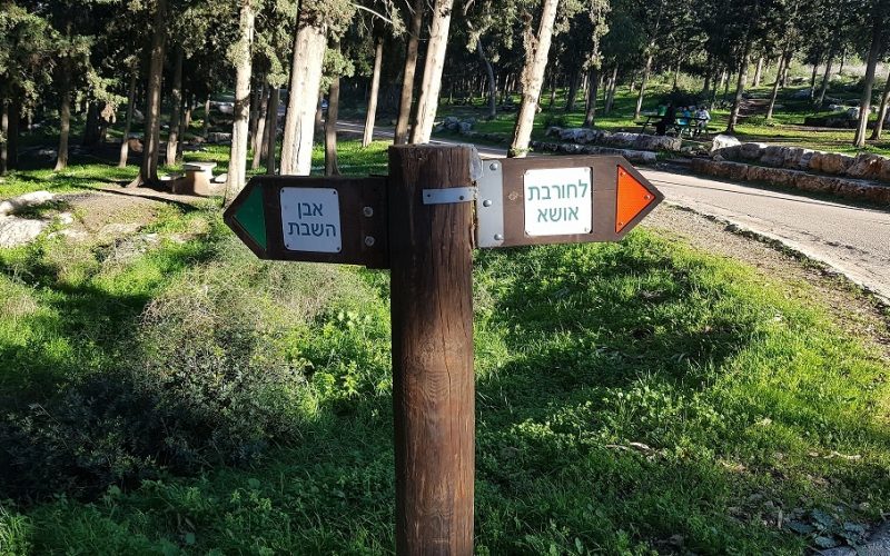 דרך נוף יערות ציפורי – דרך נוף יער קרית אתא