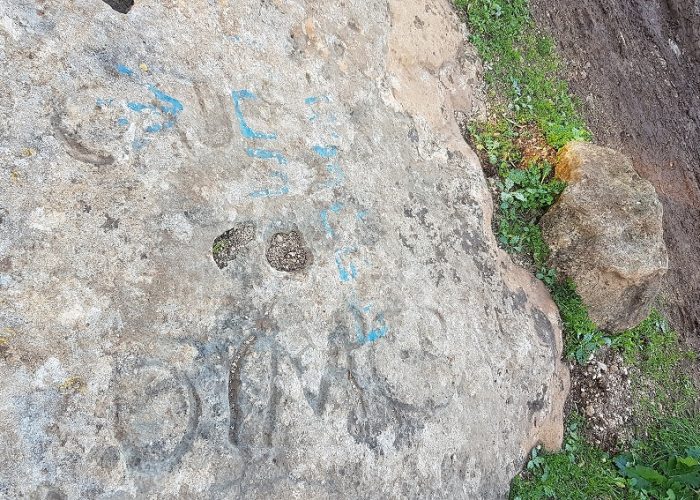 דרך נוף יערות ציפורי – דרך נוף יער קרית אתא