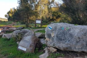 שביל הסהנדרין דרך נוף יערות ציפורי – דרך נוף יער קרית אתא