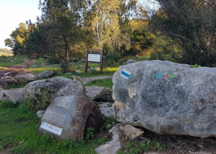 שביל הסהנדרין דרך נוף יערות ציפורי – דרך נוף יער קרית אתא