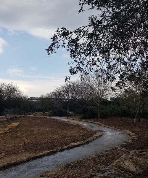 תצפית על בקעת נטופה בדרך נוף הר תורען