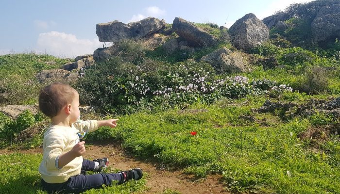 גבעת הפרחים בין מעגן מיכאל לפארק מעיין הצבי – רכס כורכר