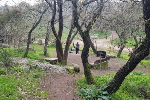 שביל אילן – אתר הנצחה לזכר אילן גבאי