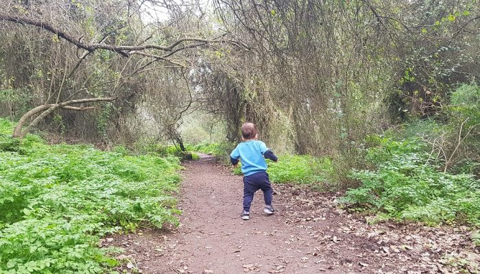 שביל אילן – אתר הנצחה לזכר אילן גבאי