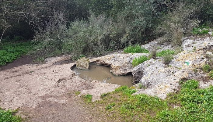 שביל אילן – אתר הנצחה לזכר אילן גבאי