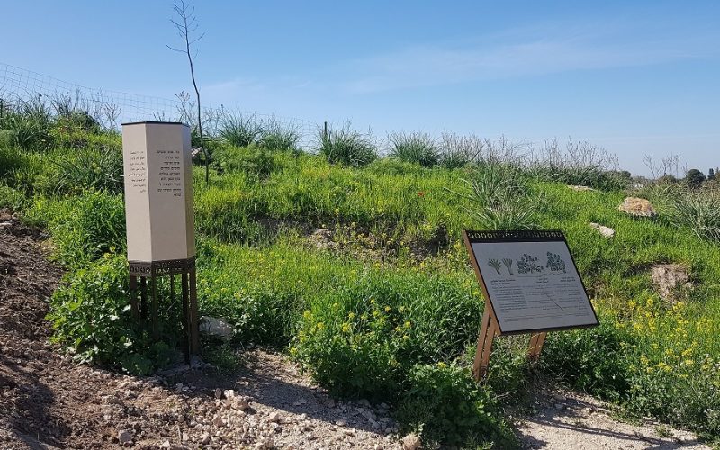 גן לאומי תל לכיש